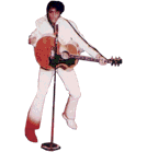 elvis-01.gif