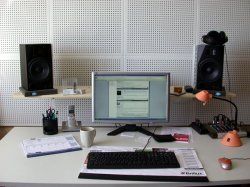 Schweinesoundrecording.jpg