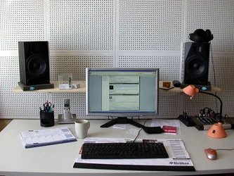Schweinesoundrecording.webp