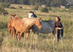 Sonisonschick&amp;Pferd.png