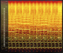 Sonogram.png