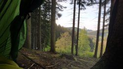 20190518_090437.jpg