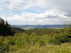 IMG_20190518_160556.jpg