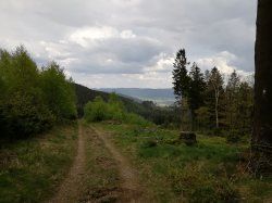 IMG_20190518_162054.jpg