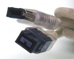 fw800.jpg