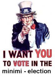 voting.jpg