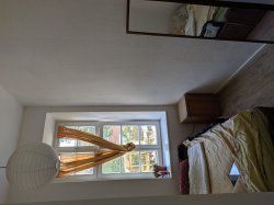 IMG_20190812_175617.jpg