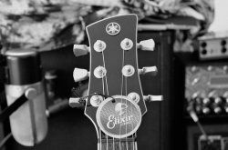 Elixir Strings.JPG