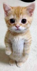 upload_2019-9-22_23-47-52.png