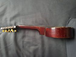 Banjo2019-01-25 15.30.54.jpg
