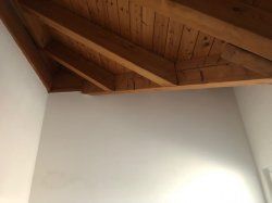 IMG_3463.JPG