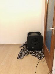 IMG_4830.jpeg