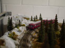 SchienenbusBerg 1.JPG