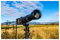Sigma 150-600 Bilder 3.jpg