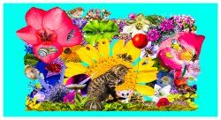 Blumen Collage.jpg