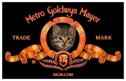 Petzi Katze - MGM Logo.jpg