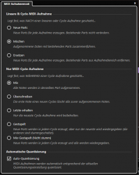 MIDI-Aufnahme_Mode.png