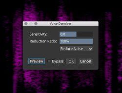 Voice Denoiser Panel.jpg