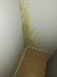 IMG_20200128_220333.jpg