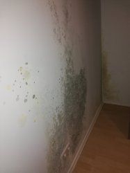 IMG_20200128_220413.jpg
