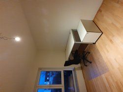 20201205_165339.jpg