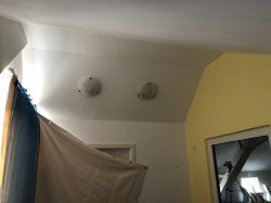 IMG_0299.jpg