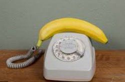BananaAbhöre.JPG