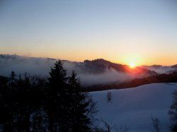 IMG_5939.jpeg