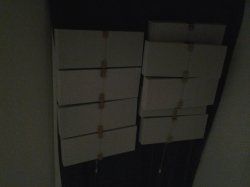 20210310_201001.jpg