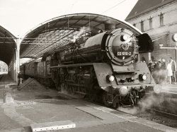 Halle 031010sepia.jpg