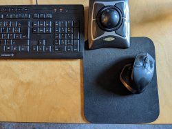 Trackball und Maus.jpg