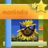 manlindis