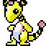 dandyandy