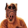 Zombie-Alf