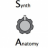 Synthanatomy