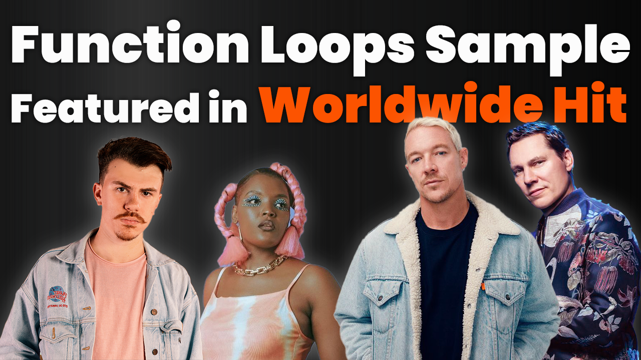 www.functionloops.com