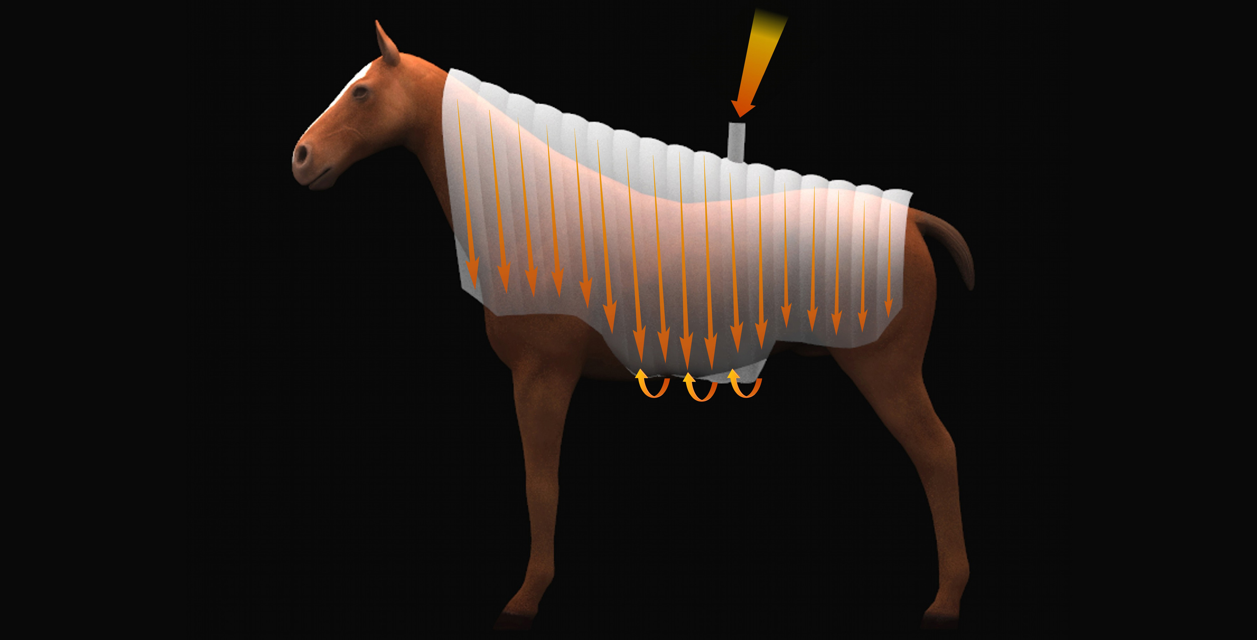 RENDER-CAVALLO-PER-SITO-WIPER2_001.jpg
