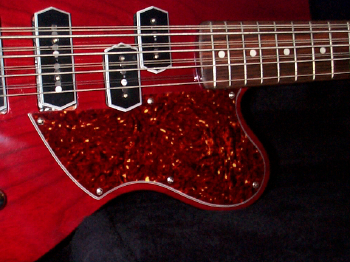 Pickguard.jpg