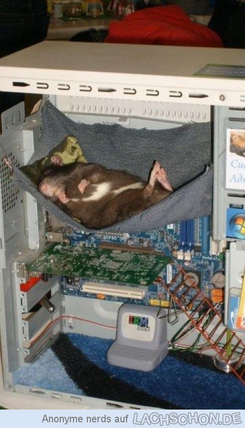 82036_just_chillin.jpg