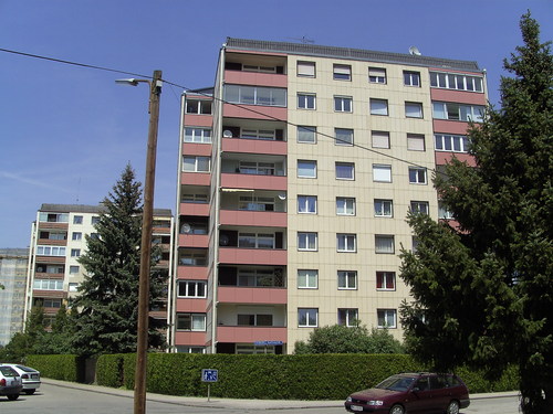 10243971.jpg