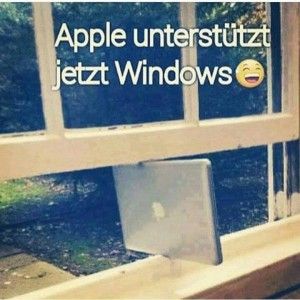 1a8b916b6761a81f11386749fa946469--funny-stuff-window.jpg