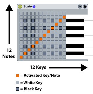 scale-diagram.jpg