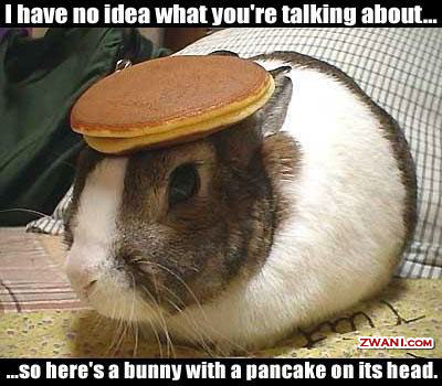 3funny-pictures210.jpg