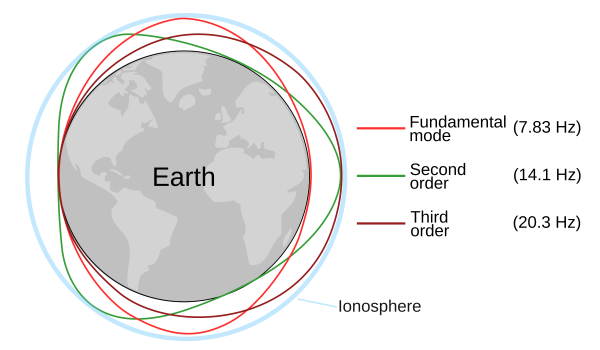 de.wikipedia.org