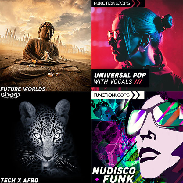 www.functionloops.com