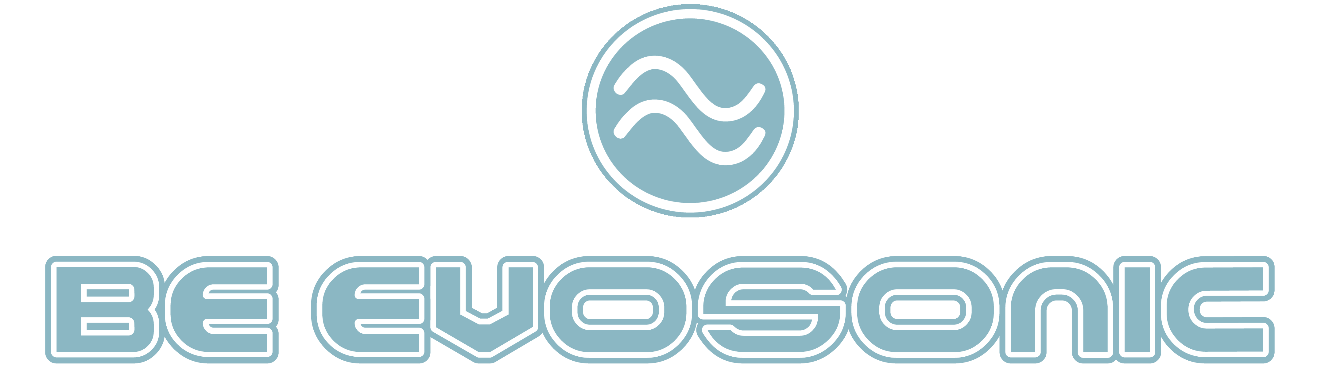 www.evosonic.de