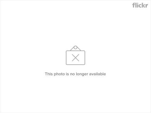 4003533313_80280bdff5.jpg
