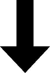 pfeil2.gif