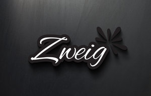 zweig.bandcamp.com