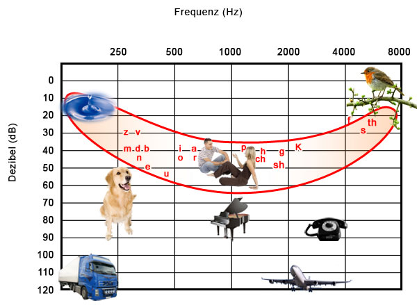 hoerfeld.jpg